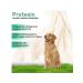 Protein Sinbiotic 50 D-s dog capsules - Buy Online on GoSupps.com