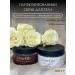 GlowElle A set of body scrubs tobacco-vanal and baccarat 2pcs - Buy Online on GoSupps.com