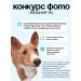 Yummi Fish Navaga delicious fish for dogs for cats training - Buy Online on GoSupps.com