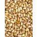 National Product Premium Pistachios fried salted nuts 500g - Buy Online on GoSupps.com