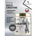 Kevin Levrone Creatin Gold Creatine 300 gr