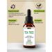 Etol Tea tree extract 30 ml - Buy Online on GoSupps.com