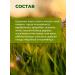 Laxative grass collection intestines without constipation-1 3 pcs - Buy Online on GoSupps.com