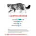 ROYAL CANIN Dry Cat Feed Urinary Care 2kg - Buy Online on GoSupps.com