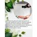 Health from Siberia Kit Balm Korin + vivocost - Buy Online on GoSupps.com