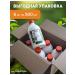 POCUS Fluid for irrigator concentrate set 6pcs 500ml - Buy Online on GoSupps.com
