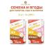 Orgtium A mixture of seeds and berries for salads cereals and pastries 2 pcs 200g