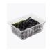Sen Soy Chips Nori Wasabi - 18 pcs - Buy Online on GoSupps.com