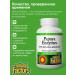 Natural Factors Papaya enzymes for digestion 120 chewing tablets - Buy Online on GoSupps.com