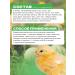 Donskoy Estate Vitamins for chickens chickens. young birds 500 g - Buy Online on GoSupps.com