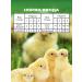 Donskoy Estate Vitamins for chickens chickens. young birds 500 g - Buy Online on GoSupps.com