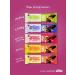Smello Dried red plum in dark chocolate - Buy Online on GoSupps.com
