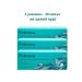 Potenow Kapsoila (Potenov Kapsoila) is a complex for men 3 packs of 10 capsules per course. For potency erectile function and increased libido.