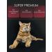 Mi-Mi Wet food for cats and kittens with lamb 80 g 24 pcs - Buy Online on GoSupps.com