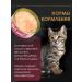 Mi-Mi Wet food for cats and kittens with lamb 80 g 24 pcs - Buy Online on GoSupps.com