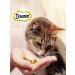 DREAMIES Cotton for cats with cheese 140 g - Buy Online on GoSupps.com