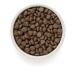 Grandorf Dry food for dogs Medium & Maxi with white fish 10 kg - Buy Online on GoSupps.com