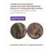 concept Tinting hair balm blond - Buy Online on GoSupps.com