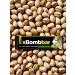 BombBar Baton without sugar protein pistachio - 12pcs