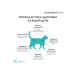 Grandorf fresh Dry food for cats salmon and battting 2kg - Buy Online on GoSupps.com