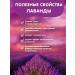 Lavender herbal tea in the Bank of Herbal Nash our tea 80g - Buy Online on GoSupps.com