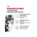 ROYAL CANIN Dry food Digestive Care for cats fish 2 kg - Buy Online on GoSupps.com