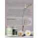 BelitaM Bioactive cream concentrate against stretch marks - Buy Online on GoSupps.com