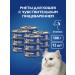 Brit Wet food for cats rang from lamb 100g x 12
