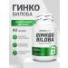 BioTechUSA Ginkgo Ginkgo Biloba 90 Ginkgo