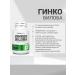 BioTechUSA Ginkgo Ginkgo Biloba 90 Ginkgo - Buy Online on GoSupps.com