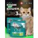 PURINA ONE Dry food for cats with turkey 1.5 kg*2 pcs - Buy Online on GoSupps.com