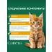 Cattera Dry food for kittens with chicken - Buy Online on GoSupps.com