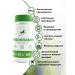 NaturalSupp Riboflavin Vitamin B2 BAD 60 of plant capsules - Buy Online on GoSupps.com