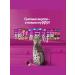 WHISKAS Wet food for cats chicken indections will be 28pcs x 75gr - Buy Online on GoSupps.com
