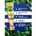 Forest balsam Night care toothpaste 75 ml - Buy Online on GoSupps.com