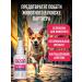 GOOD DOG & CAT Drops Antisex for cats and bitches 50ml - Buy Online on GoSupps.com