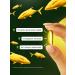 FitFusion Omega 3 - Fish oil (Fish Oil -Omega 3) (capsules 1400 mg) - Buy Online on GoSupps.com