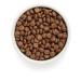 Grandorf Dry food for dogs Medium & Maxi duck and turkey 10 kg - Buy Online on GoSupps.com