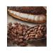 Dope Nature Cocoa-beans are raw wild. 500g - Buy Online on GoSupps.com