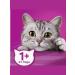 WHISKAS Dry food for sterilized cats chicken 5 kg - Buy Online on GoSupps.com