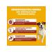 PEDIGREE Feed for adult dogs of small breeds beef 2 kg - Buy Online on GoSupps.com