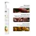 LIVSI Moisturizing body cream with urea - Buy Online on GoSupps.com