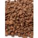 TOP Barista Coffee in grains 1 kg of Selectio Arabica - Buy Online on GoSupps.com