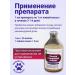 with a small shoe Vetosporin Probiotic help the aging dog 100 ml - Buy Online on GoSupps.com