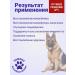 with a small shoe Probiotic help the dog with digestive disorders 100 ml - Buy Online on GoSupps.com