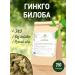 Native herbs Ginkgo biloba leaves herbal tea