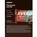EVERGO Protein cake without sugar chocolate-cutting cake - Buy Online on GoSupps.com