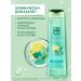 Clean line Women's hair shampoo from dandruff with menthol 400 ml - Buy Online on GoSupps.com