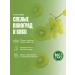 The Flip Basics for drinks concentrate puree kivi-vinograd 1kg - Buy Online on GoSupps.com