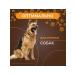 DogDelight Dog delicacies fish cod of leather cod 100 g leather - Buy Online on GoSupps.com